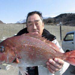 大進丸(新潟) 釣果
