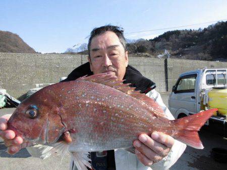 大進丸(新潟) 釣果