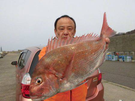 大進丸(新潟) 釣果