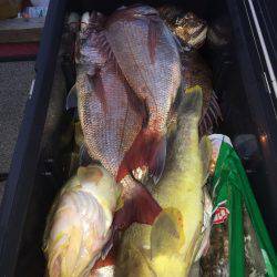 幸風（さちかぜ） 釣果