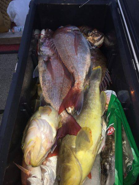 幸風（さちかぜ） 釣果