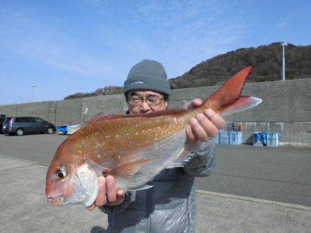 大進丸（新潟） 釣果