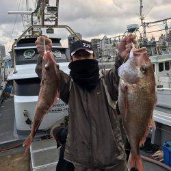 幸風（さちかぜ） 釣果