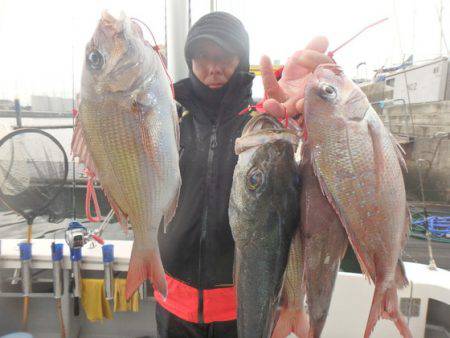 美里丸 釣果