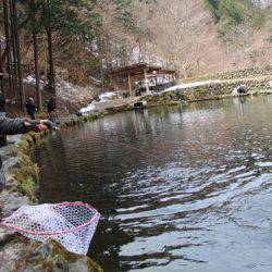 小菅トラウトガーデン 釣果