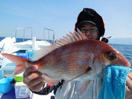 海晴丸 釣果