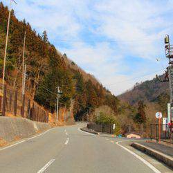 小菅トラウトガーデン 釣果