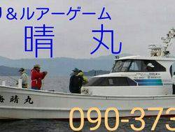 海晴丸 釣果
