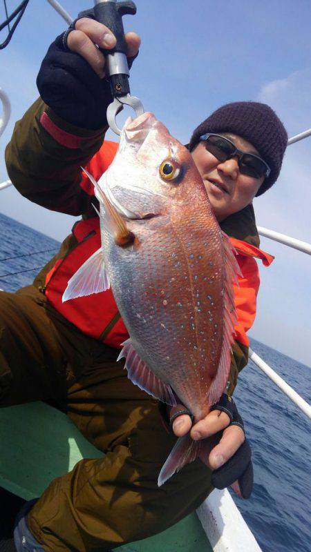 遊漁船 新鋭丸 釣果