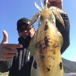 エギングの狼煙が上がった！四国西南部のデカイカ♪【ジャイアン氏連載記事No.07】