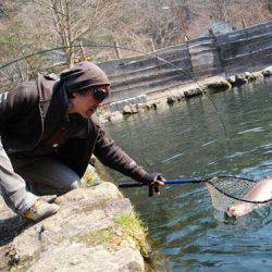 小菅トラウトガーデン 釣果