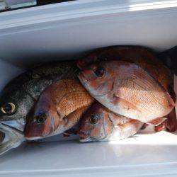 遊漁船 幸友丸 釣果