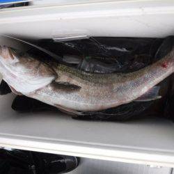 遊漁船 幸友丸 釣果