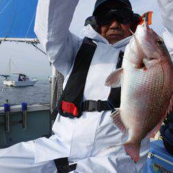 遊漁船 幸友丸 釣果