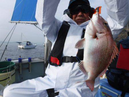 遊漁船 幸友丸 釣果