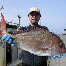 大進丸(新潟) 釣果