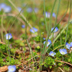 小菅トラウトガーデン 釣果