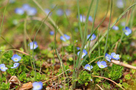 小菅トラウトガーデン 釣果