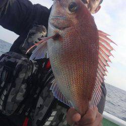 遊漁船 新鋭丸 釣果