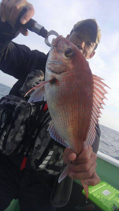 遊漁船 新鋭丸 釣果