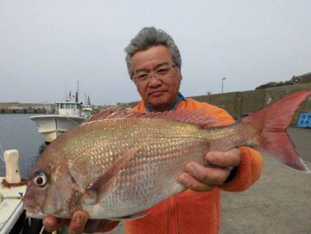 大進丸（新潟） 釣果
