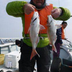 遊漁船 幸友丸 釣果