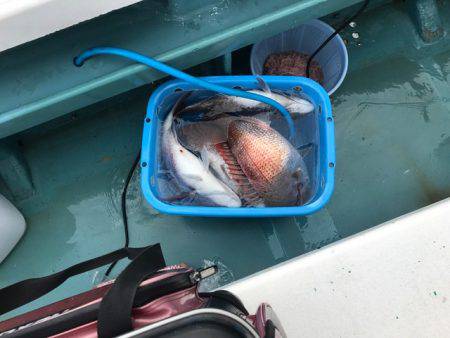 さとみ丸 釣果