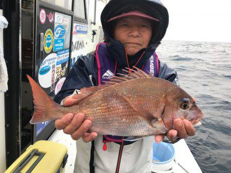 さとみ丸 釣果
