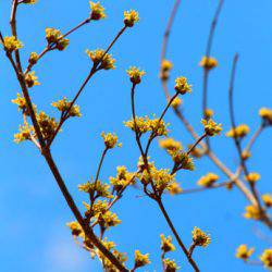 小菅トラウトガーデン 釣果