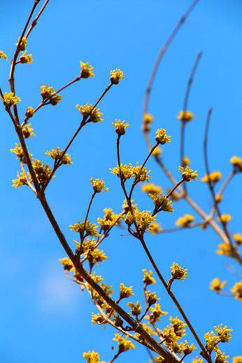 小菅トラウトガーデン 釣果
