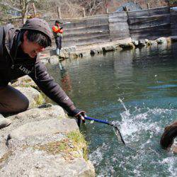 小菅トラウトガーデン 釣果