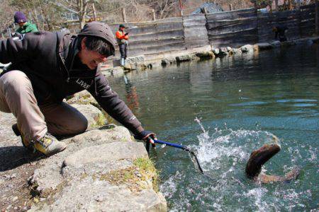 小菅トラウトガーデン 釣果