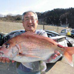 大進丸(新潟) 釣果