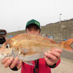 大進丸(新潟) 釣果