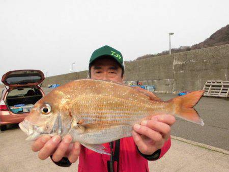 大進丸(新潟) 釣果