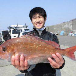 大進丸(新潟) 釣果