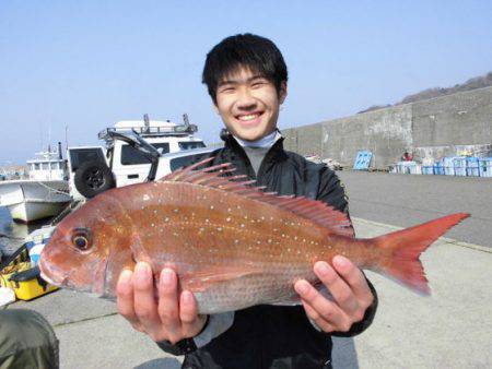 大進丸(新潟) 釣果
