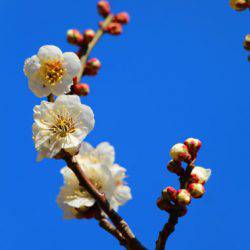 小菅トラウトガーデン 釣果