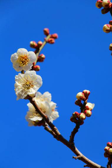 小菅トラウトガーデン 釣果