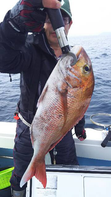 海晴丸 釣果