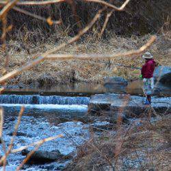 小菅トラウトガーデン 釣果