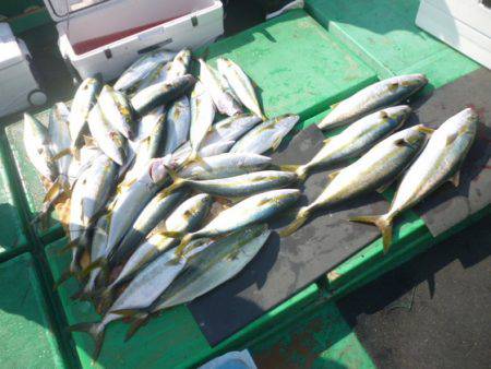 真祐丸 （しんゆうまる） 釣果