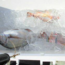 大進丸(新潟) 釣果