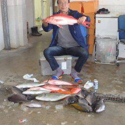 フィッシングハウス伊藤 釣果