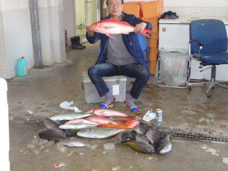 フィッシングハウス伊藤 釣果