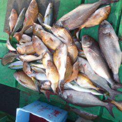 真祐丸 （しんゆうまる） 釣果