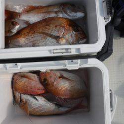 遊漁船 幸友丸 釣果