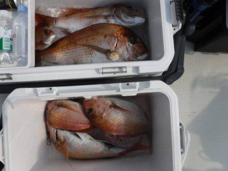 遊漁船 幸友丸 釣果