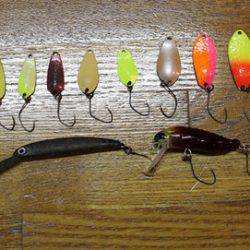 小菅トラウトガーデン 釣果