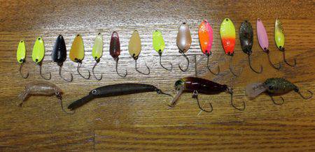 小菅トラウトガーデン 釣果